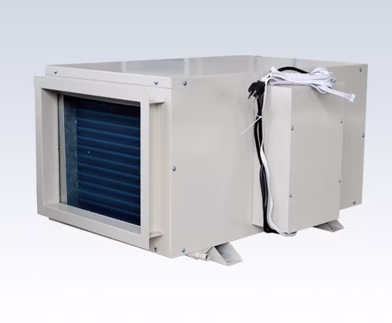 Déshumidificateur industriel mondial Selwet à air sec de haute qualité de 210 pintes avec CE à prix compétitif